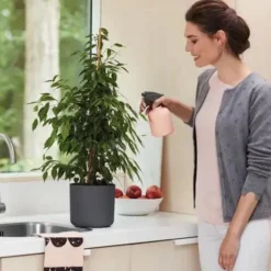 Cache-pot anthracite Elho B.for Soft - Ø 16 cm