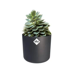 Cache-pot anthracite Elho b.for soft - Ø 22 cm