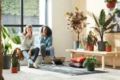 Cache-pot anthracite Elho b.for soft - Ø 22 cm