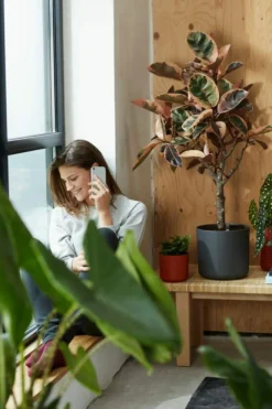 Cache-pot anthracite Elho b.for soft - Ø 22 cm