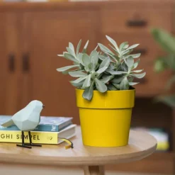 Cache-pot B.for original ronde Ø 14 x 12,8 cm polypropylène injecté