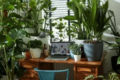 Cache-pot Brussels rond Ø 14 x 12,5 cm polypropylène injecté