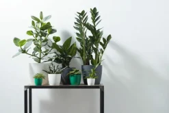 Cache-pot Brussels rond Ø 14 x 12,5 cm polypropylène injecté