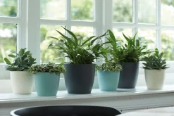 Cache-pot Brussels rond Ø 20x 18,6 cm polypropylène injecté