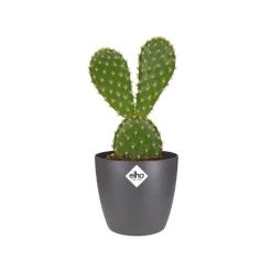 Cache-pot Brussels rond mini Ø 7 x H 6 cm Polypropylène injecté