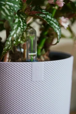 Cache-pot coloris violet Jazz Elho - Ø 23 cm