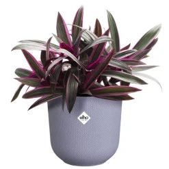 Cache-pot coloris violet Jazz Elho - Ø 23 cm