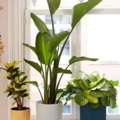 Cache-pot Elho Vibes fold blanc - Ø 22 cm