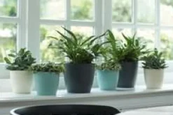 Cache-pot en plastique coloris vert menthe Elho Brussels M16 - Ø 16 cm