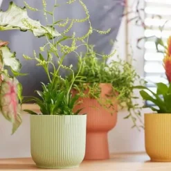 Cache-pot en plastique recyclé vert sorbet Elho Vibes fold rond- Ø 18 cm