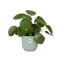 Cache-pot en plastique recyclé vert sorbet Elho Vibes fold rond- Ø 16 cm