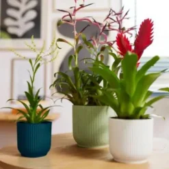 Cache-pot en plastique recyclé vert sorbet Elho Vibes fold rond - Ø 14 cm