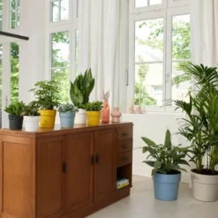 Cache-pot en polypropylène Elho B.for original rond blanc - Ø 14 cm