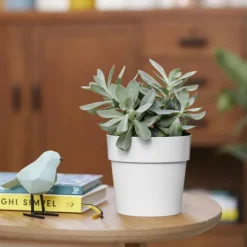 Cache-pot en polypropylène Elho B.for original rond blanc - Ø 14 cm