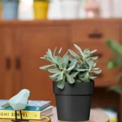 Cache-pot living noir Elho B.for Original - Ø 14 cm