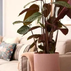 Cache-pot rose poudré Elho Vibes fold - Ø 25 cm