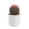 Cactus mix en pot blanc émaillé, Ø 20cm