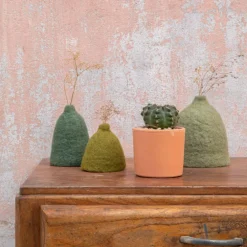 Cactus mix en pot terre cuite, Ø 10 cm