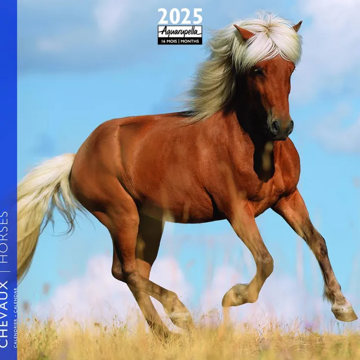 Calendrier 2025 chevaux coloris multicolore Aquarupella - 16,5 x 16,5 cm