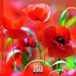 Calendrier 2025 coquelicots coloris multicolore Aquarupella - 16,5 x 16,5 cm