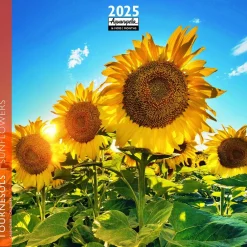 Calendrier 2025 tournesol coloris multicolore Aquarupella - 16,5 x 16,5 cm