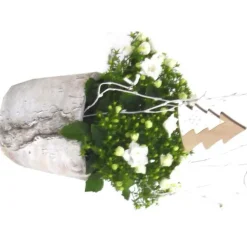 Campanula - Pot déco béton