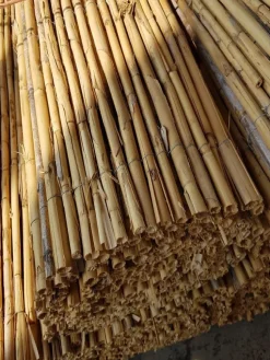 Canisse de roseau entier Silvacane - 5 m x H 150 cm