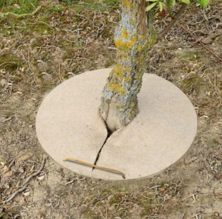 Cercle de chanvre coloris beige 800gr/m² - Ø 20 cm