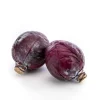 Chou rouge bio des Pays-Bas - Prix à la pièce