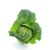 Chou vert frisé bio de France - Prix à la pièce