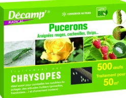 Chrysopes 500 oeufs