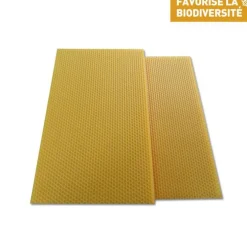 Cire gaufrée conventionnelle pour corps de ruche 26x41 cm