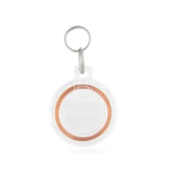 Clé de chatière pour puce électronique coloris blanc PetSafe