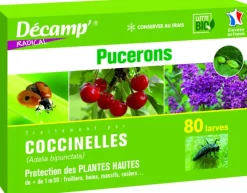 Coccinelles Adalia Bipunctata 80 larves