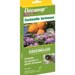 Coccinelles cochenilles farineuses Décamp - 20 adultes