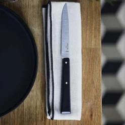 Coffret de 4 couteaux de table coloris noir en plastique et inox Opinel - 257 x 154 x 15 cm