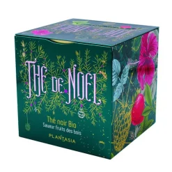 Coffret de thé de Noël cube fruits des bois Plantasia - 48 g