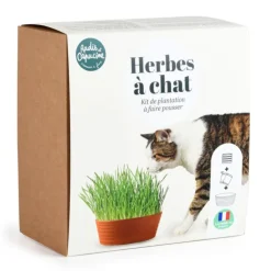 Coffret herbe à chat
