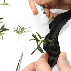 Colle à plantes double tube, rapide fixation, SEACHEM Flourish Glue - 2x4g