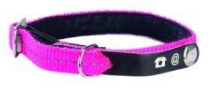 Collier chat Lost rose taille XS