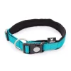 Collier Neo+ bleu pour chien 2,5x55/60 cm