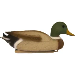 Colvert mâle 40 cm