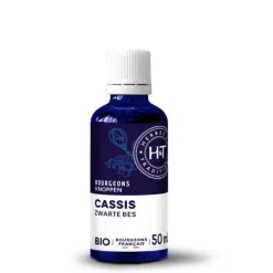 Complément alimentaire gemmo macérât cassis bio Herbes et Traditions - 50 ml