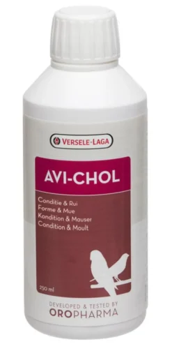 Complément alimentaire régulation du foie pour oiseaux exotiques format liquide Versele Laga Avi-Chol - 250 ml