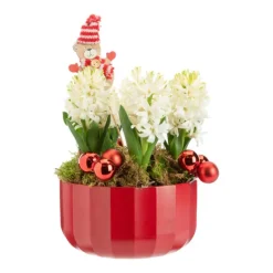 Composition coupe céramique rouge - Ø 20 cm