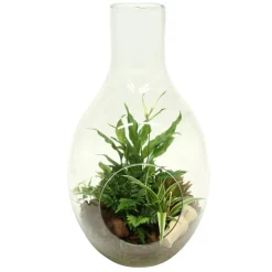 Composition de plantes vertes