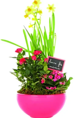 Composition florale divers coloris en pot rond céramique Ø 22 cm