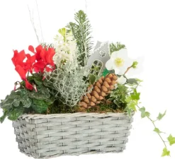 Composition jardinière vannerie grise - 30 cm