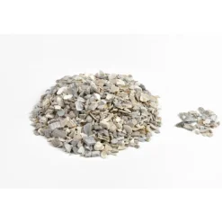 Coquilles d’huitres marines calcaires 5 kg