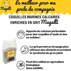 Coquilles d’huitres marines calcaires 5 kg